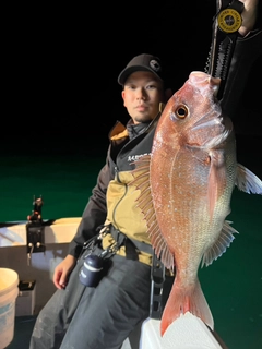マダイの釣果