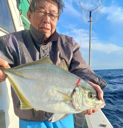 シマアジの釣果