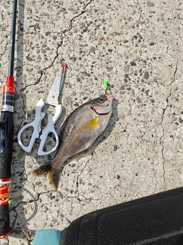 一万トン岸壁(姫路)