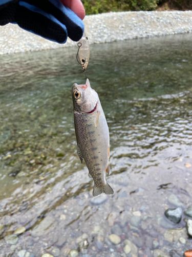 リヴァスポット早戸