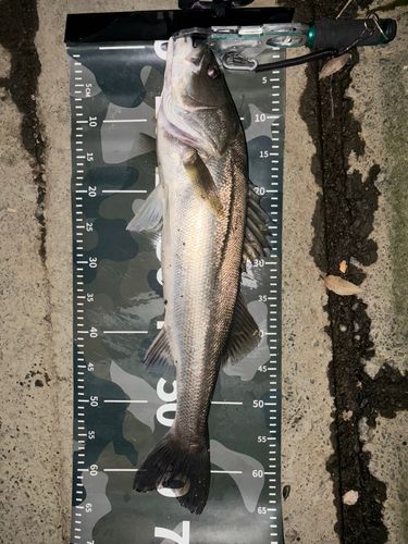 那珂川（茨城〜栃木）