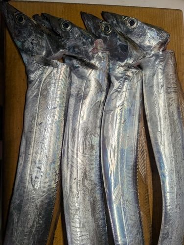 うみかぜ公園付近