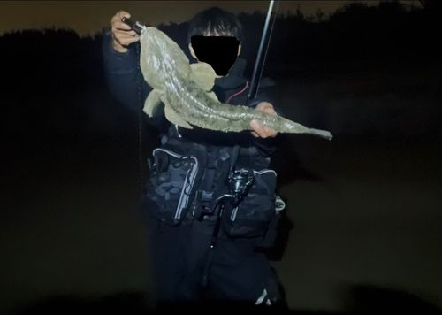 新舞子海岸（いわき）