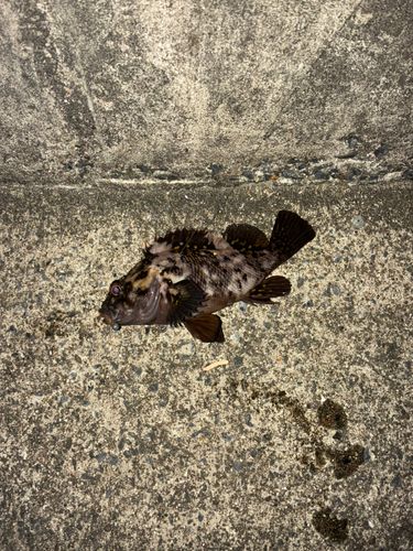 三陸海岸(宮城)