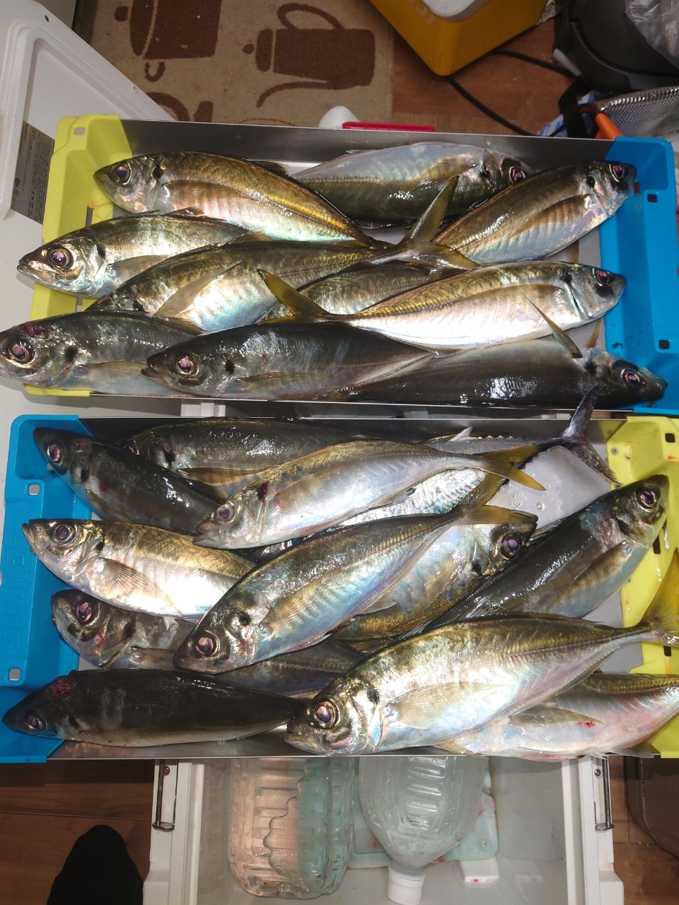 忙しすぎるルアーマンさんの釣果 2枚目の画像