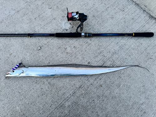 金沢水際線緑地(福浦岸壁)