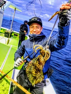 アオリイカの釣果