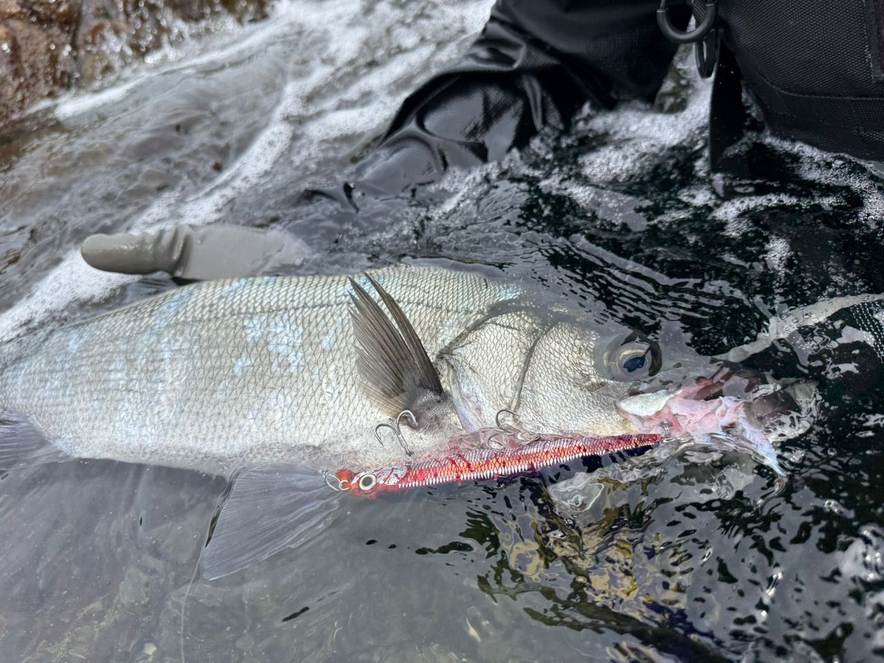 Ripple Fisher アヴァリス 110Hの最安値・インプレ・釣果 | 本音の