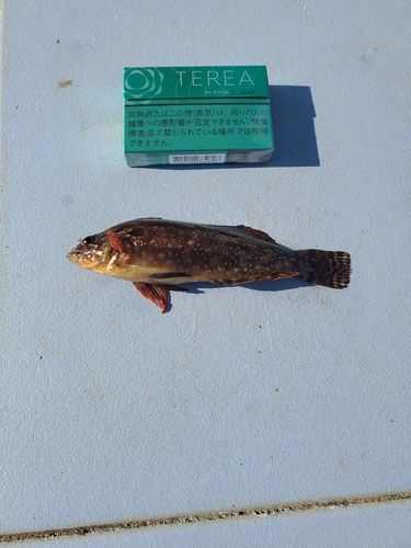 相馬港釣り桟橋