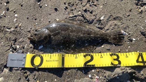 新舞子海岸（富津）