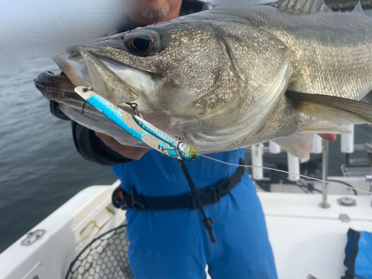 わくわく屋さんの釣果 2枚目の画像