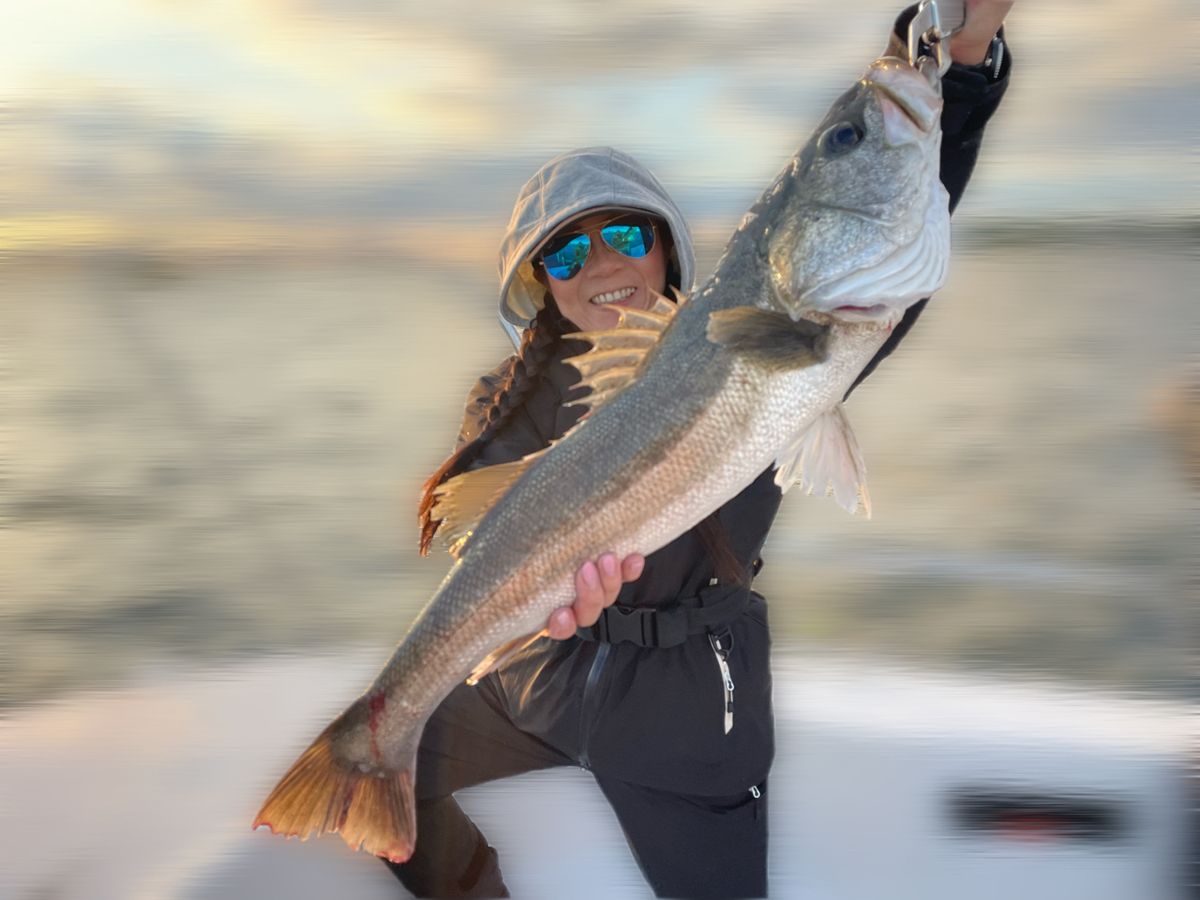 わくわく屋さんの釣果 3枚目の画像