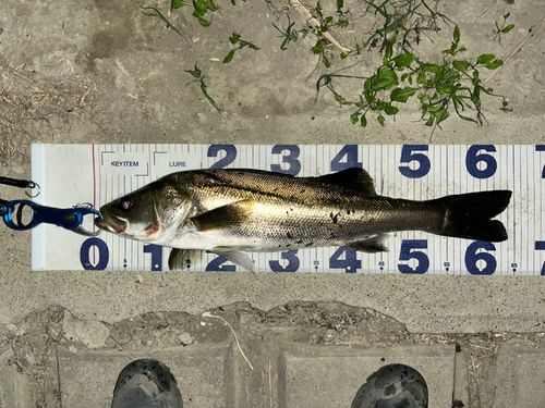 荒川河川敷運動公園