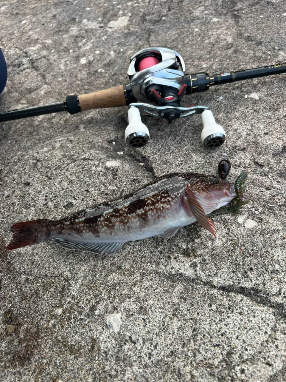 AbuGarcia エラディケーター ロックスイーパー ERSC-777H-MLの最