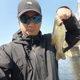 スモールマウスバス