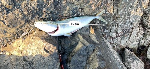 三陸海岸（青森）