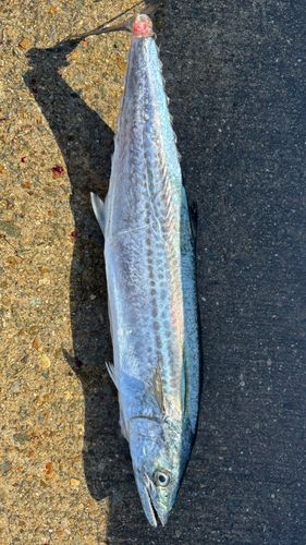 神戸空港親水護岸