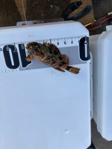 鈴鹿川派川河口