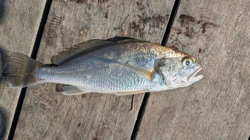 小名浜港アクアマリンふくしま周辺