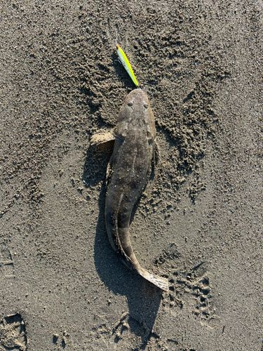 釜谷浜海水浴場