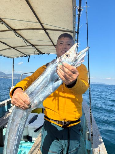 タチウオの釣果