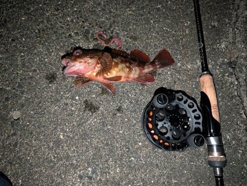 用宗広野海岸公園