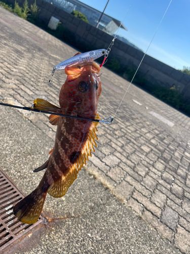 鞠山海遊パーク