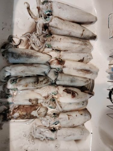 アジュール舞子