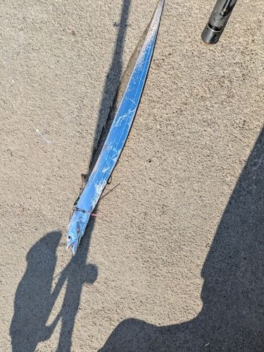 大浜釣り公園(金沢港ふれあい広場)