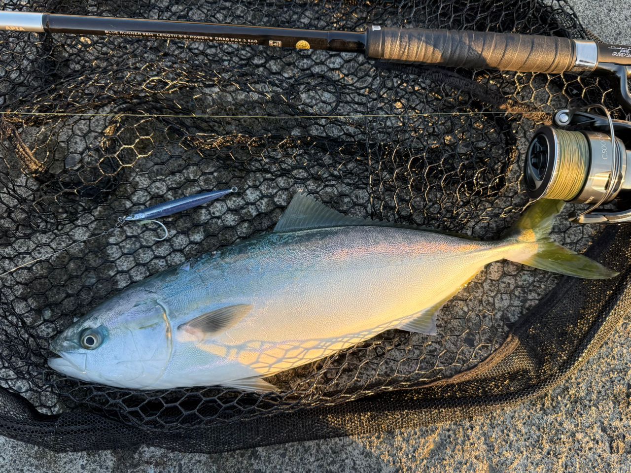 グランデージアトラスブルーランナー98M APIA アピア GRANDAGE ATLAS BLUE RUNNER 98M ※発送は11月下旬以降 | ロッド