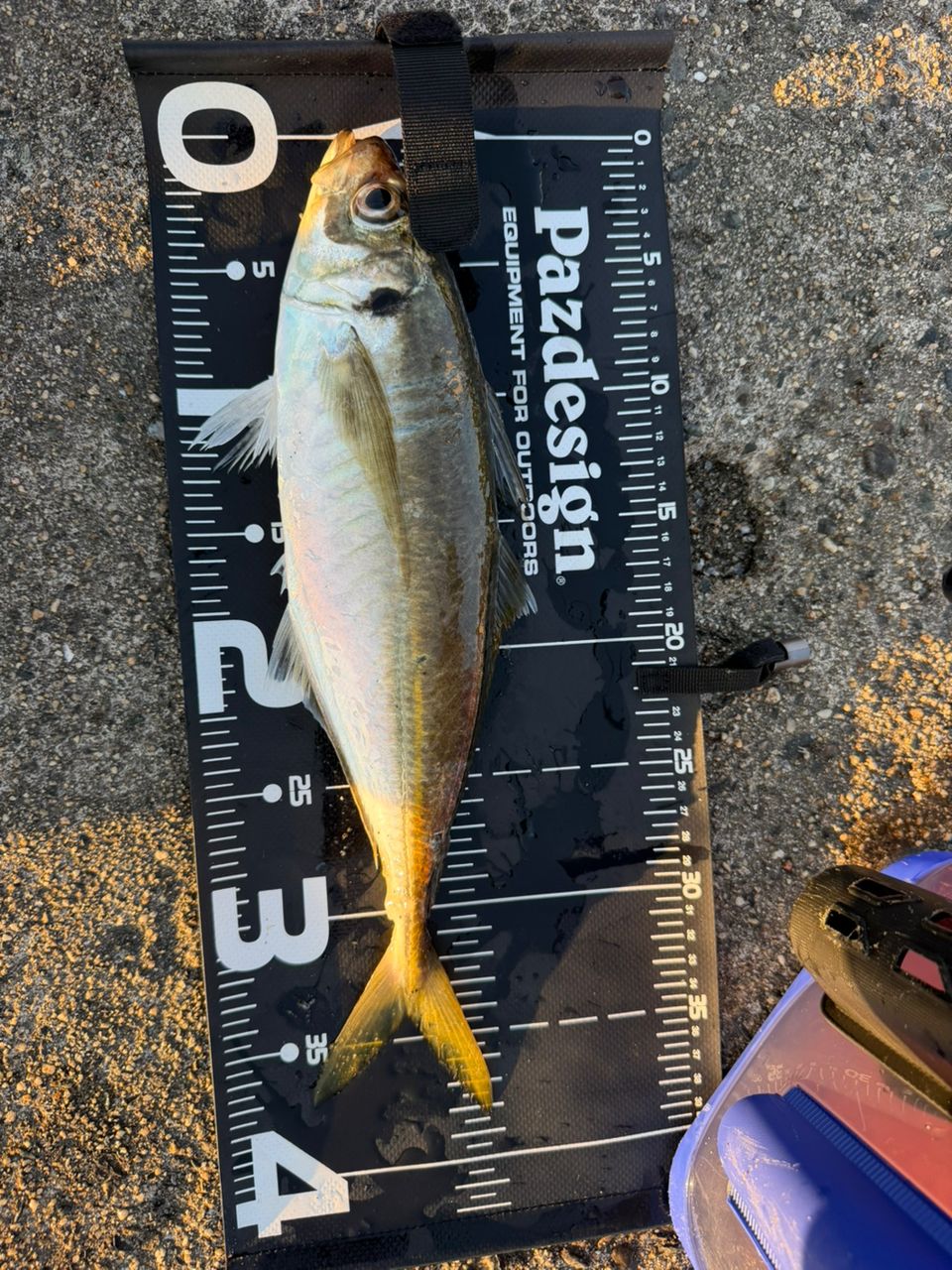 Gamakatsu ラグゼ 宵姫 華 弍 S57UL-solidの最安値・インプレ・釣果