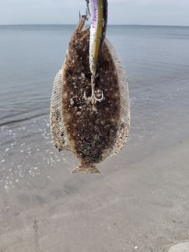 吹上浜(鹿児島)
