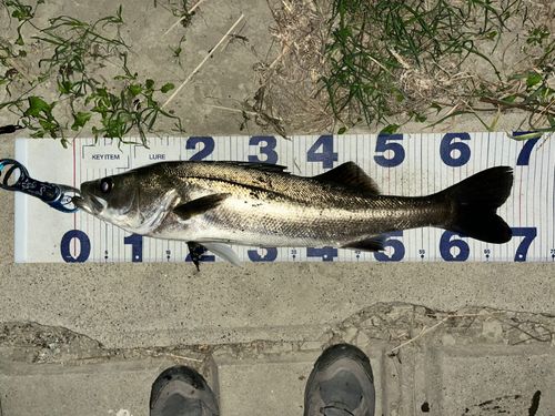 荒川河川敷運動公園