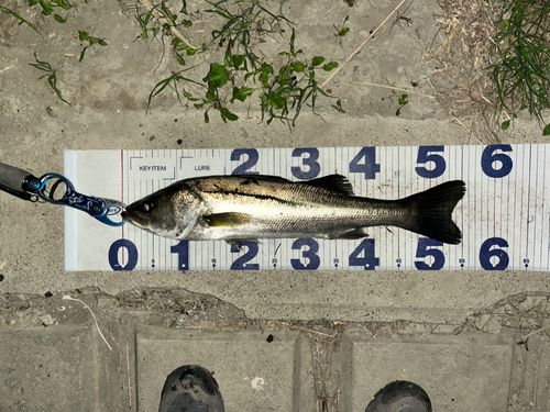 荒川河川敷運動公園