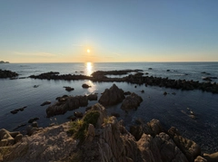 キジハタの釣果