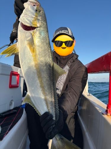 ヒラマサの釣果