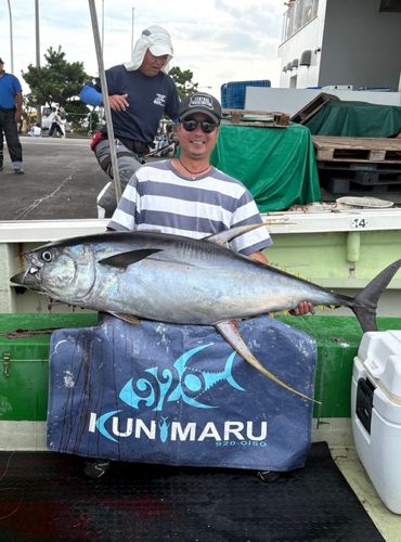 キハダマグロの釣果