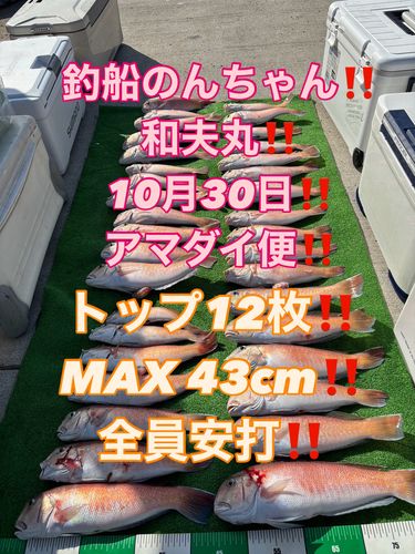 シロアマダイの釣果