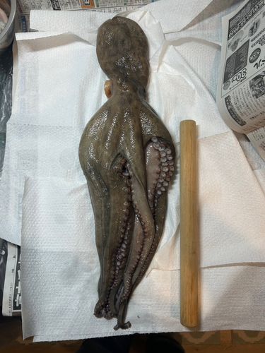 小名浜港アクアマリンふくしま周辺