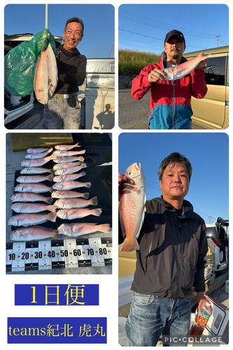 シロアマダイの釣果