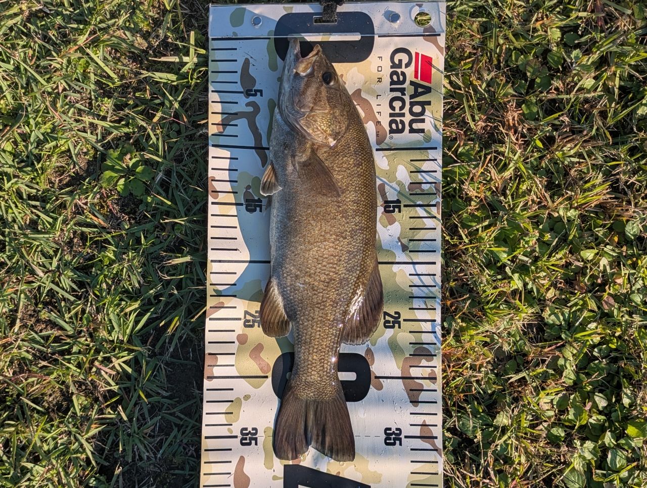 SHIMANO 21ポイズングロリアス 267L+の最安値・インプレ・釣果 | 本音