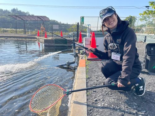 ニジマスの釣果