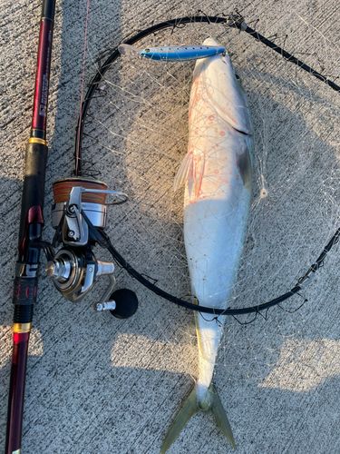 三陸海岸（岩手）