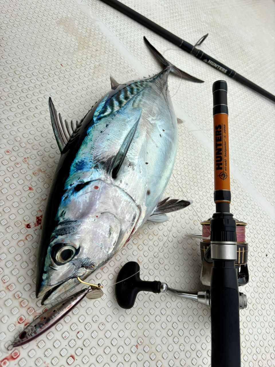 Na+さんの釣果 1枚目の画像