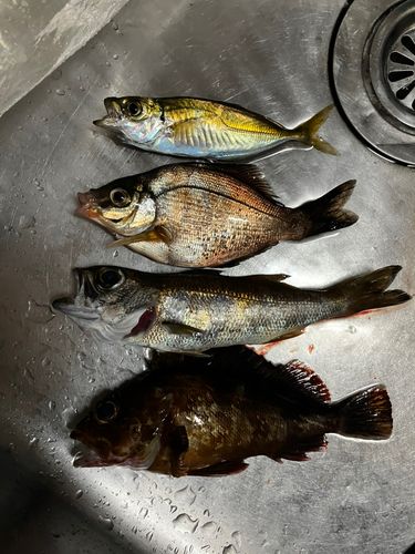 金沢水際線緑地(福浦岸壁)