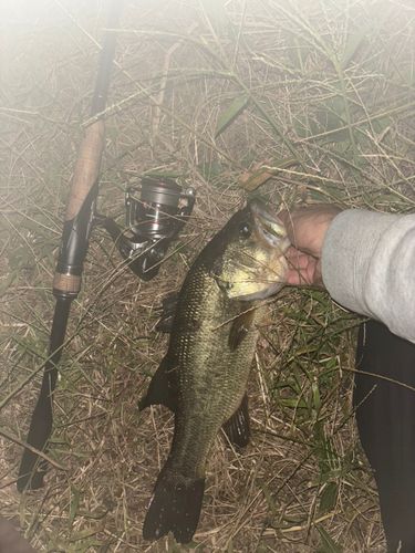 印旛沼中央排水路