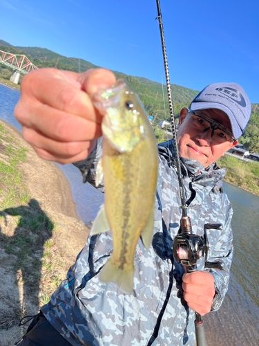 木津川下流(京都)