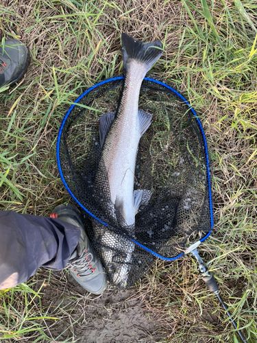 大野川（石川）