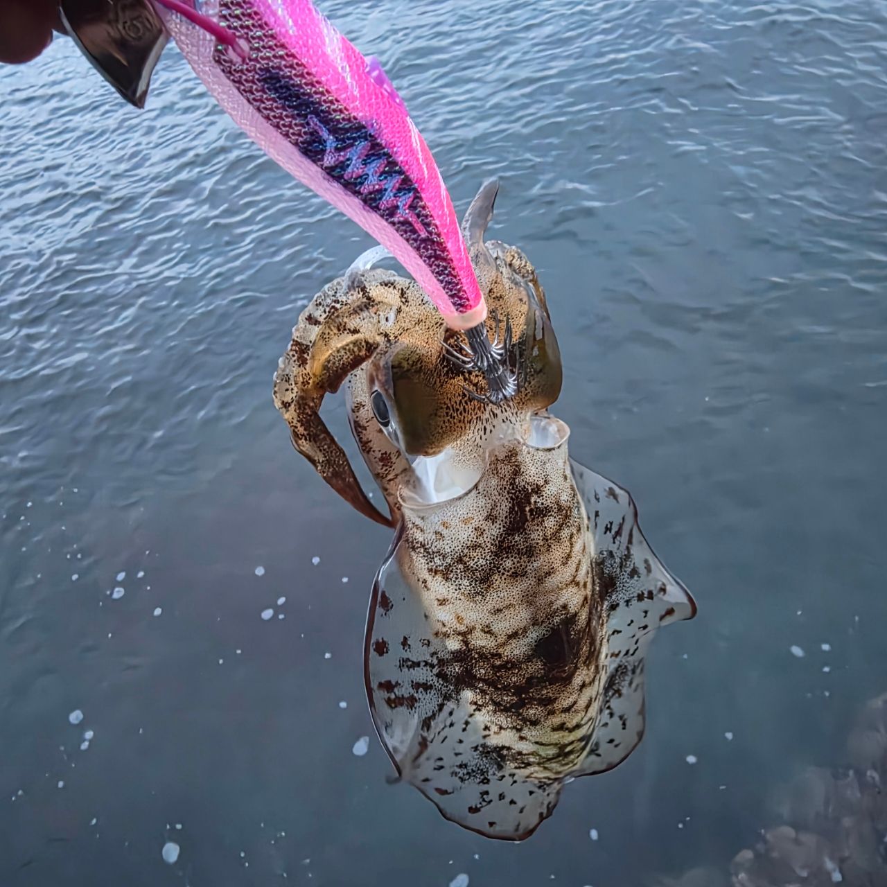 Gamakatsu 23ラグゼ EG X アルティメイト S77ML+-solidの最安値