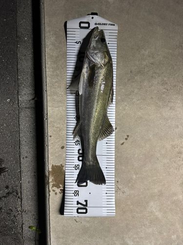 横浜ベイサイドマリーナ付近